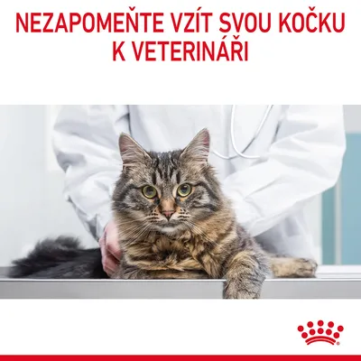 NEZAPOMEŇTE VZÍT SVOU KOČKU K VETERINÁŘI, fotografie veterináře s kočkou na vyšetřovacím stole, vpravo dole červená korunka Royal Canin.