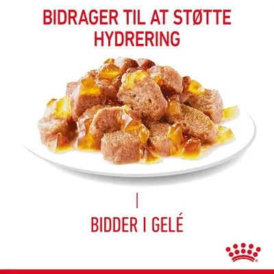 BIDRAGER TIL AT STØTTE HYDRERING. BIDER I GELÉ. Tallerken med kødbidder i gelé, Royal Canin krone-symbol nederst.