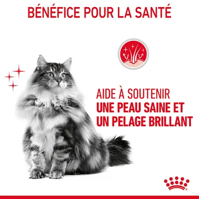 BÉNÉFICE POUR LA SANTÉ. Aide à soutenir une peau saine et un pelage brillant. Image d’un chat à poils longs, logo Royal Canin en bas à droite.