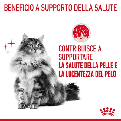 Testo: Beneficio a supporto della salute. Contribuisce a supportare la salute della pelle e la lucentezza del pelo. Immagine di un gatto a pelo lungo e simbolo stilizzato.