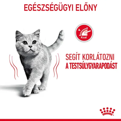 Egészségügyi előny. Segít korlátozni a testsúlygyarapodást. Kcal piktogram látható, alul Royal Canin logó.