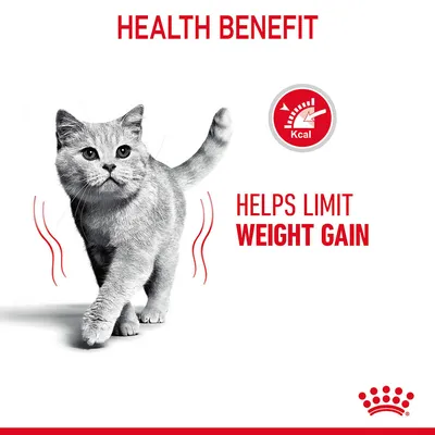 Text: HEALTH BENEFIT. Helps limit weight gain. Red icon with gauge and 'Kcal'. Image of a cat walking. Royal Canin crown symbol bottom right.