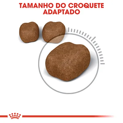 Três croquetes de ração em diferentes tamanhos com o texto visível: 'TAMANHO DO CROQUETE ADAPTADO'.
