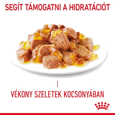 Segít támogatni a hidratációt. Vékony szeletek kocsonyában. Royal Canin márka. Nedves állateledel tálon, zselés szósszal.
