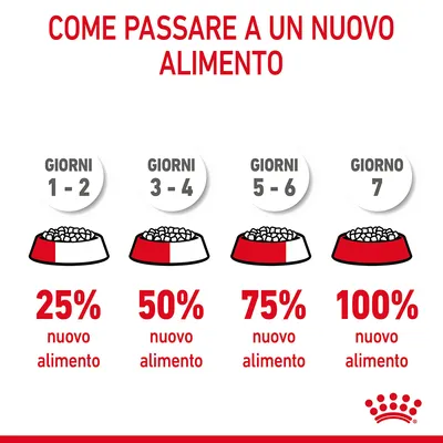 Guida al cambio alimentare: giorni 1–2 25% nuovo alimento, giorni 3–4 50%, giorni 5–6 75%, giorno 7 100%. Testo: Come passare a un nuovo alimento. Marchio Royal Canin visibile.