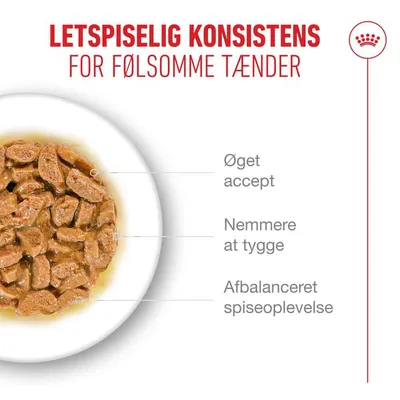 Royal Canin Ageing 11+ i sauce