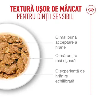 Textură ușor de mestecat pentru dinți sensibili. Acceptare mai bună a hranei, mărunțire mai ușoară, experiență de hrănire echilibrată. Textură ușor de mestecat pentru dinți sensibili. Acceptare mai bună a hranei, mărunțire mai ușoară, experiență de hrănire echilibrată.