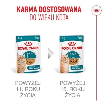 Royal Canin Ageing 11+ w galarecie