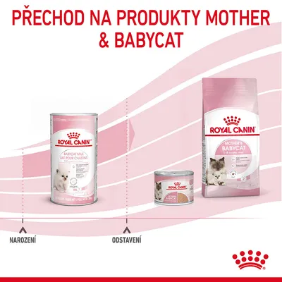 Přechod na produkty Mother & Babycat. Royal Canin Babycat Milk od narození, Royal Canin Mother & Babycat granule a konzerva od odstavení. Názvy produktů a fáze viditelné.