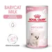 Royal Canin Babycat Milk tejpótló tápszer