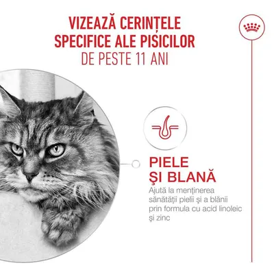 Royal Canin Ageing 11+ Mousse