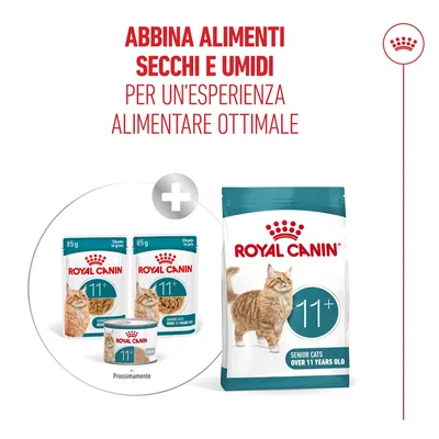 Royal Canin Ageing 11+ Mousse