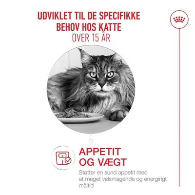 Royal Canin Ageing 15+ i sovs