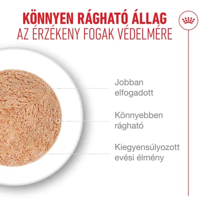 Royal Canin Ageing 15+ Mousse