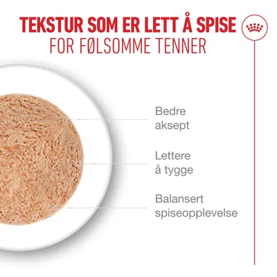 Royal Canin Ageing 15+ Mousse