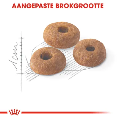 AANGEPASTE BROKGROOTTE, drie ronde brokken met gat in het midden, maatindicatie 1 cm zichtbaar naast de brokken.