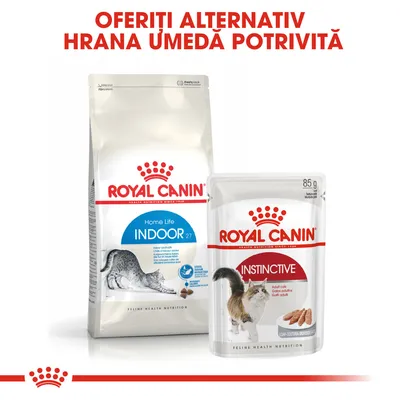 Royal Canin Home Life Indoor 27 hrană uscată pentru pisici și Royal Canin Instinctive hrană umedă 85 g. Text vizibil: Oferiți alternativ hrană umedă potrivită.