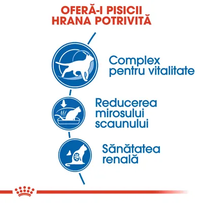Oferă-i pisicii hrana potrivită: complex pentru vitalitate, reducerea mirosului scaunului, sănătatea renală. Text și pictograme albastre cu pisici.