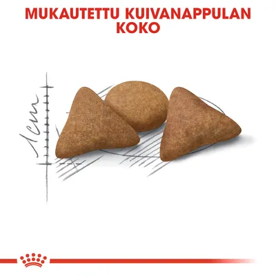 Mukautettu kuivanappulan koko. Kuvassa kolme erimuotoista nappulaa ja mittaviiva, jossa lukee 1 cm.