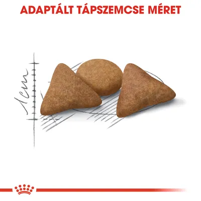 Adaptált tápszemcse méret felirat, három különböző alakú tápdarab, háttérben 1 cm-es méretskála látható.