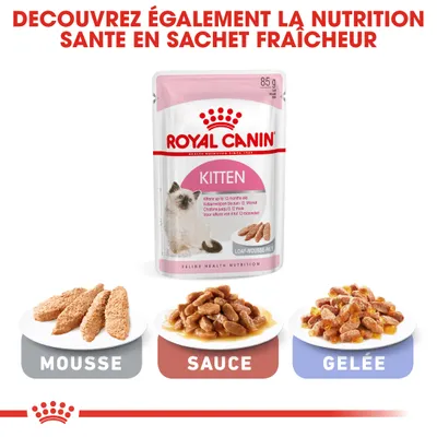 Royal Canin Kitten pour chaton