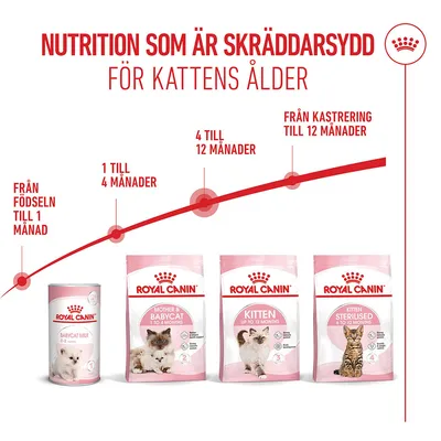 Royal Canin Kitten