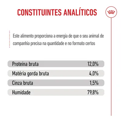 Royal Canin Kitten em gelatina