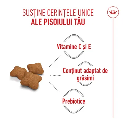 Bucăți de hrană uscată cu indicații: vitamina C și vitamina E, conținut adaptat de grăsimi, prebiotice. Text în limba română. Bucăți de hrană uscată cu indicații: vitamina C și vitamina E, conținut adaptat de grăsimi, prebiotice. Text în limba română.
