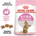 Royal Canin Kitten Sterilised