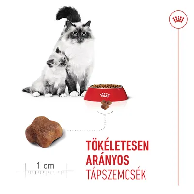 Royal Canin Mother & Babycat