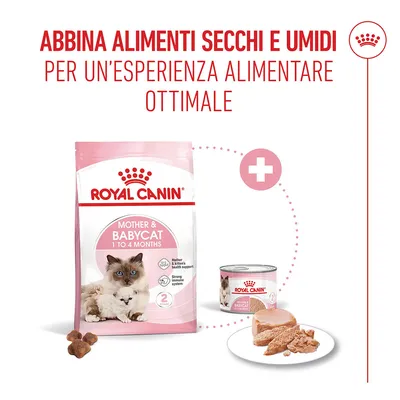 Royal Canin Mother & Babycat
