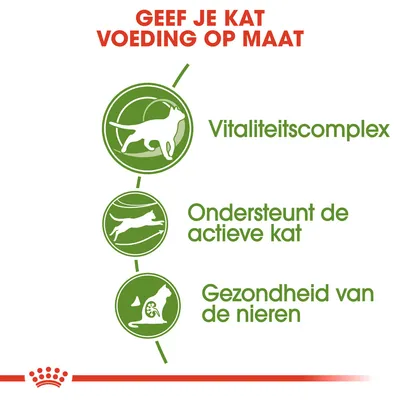Geef je kat voeding op maat. Vitaliteitscomplex. Ondersteunt de actieve kat. Gezondheid van de nieren.