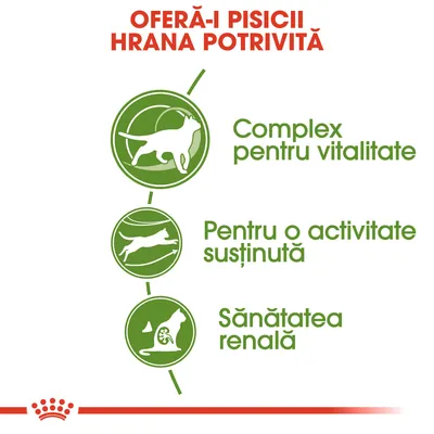 Oferă-i pisicii hrana potrivită. Complex pentru vitalitate. Pentru o activitate susținută. Sănătatea renală.