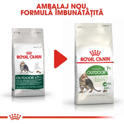 Ambalaj nou și formulă îmbunătățită pentru Royal Canin Outdoor 7+; imagine cu vechiul și noul pachet de hrană uscată pentru pisici, text vizibil: Active Life Outdoor 7+ years.