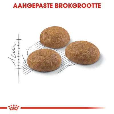 Drie brokken met tekst 'AANGEPASTE BROKGROOTTE' en een maatlijn van 1 cm, toont de grootte van de brokken voor huisdiervoeding.