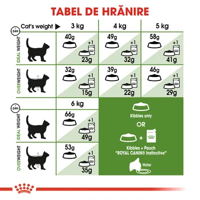 Tabel de hrănire pentru pisici Royal Canin: cantități zilnice recomandate în funcție de greutate (3–6 kg) și stare (greutate ideală/supraponderal), opțiuni hrană uscată sau combinată.