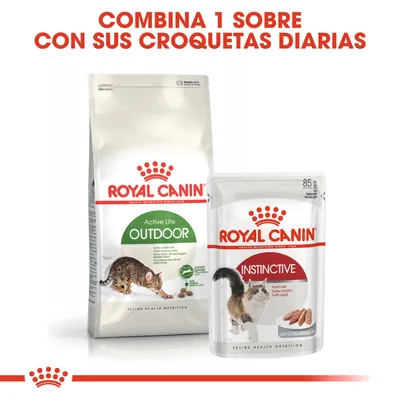 Royal Canin Active Life Outdoor pienso para gatos y Royal Canin Instinctive sobre húmedo 85 g. Texto: Combina 1 sobre con sus croquetas diarias.