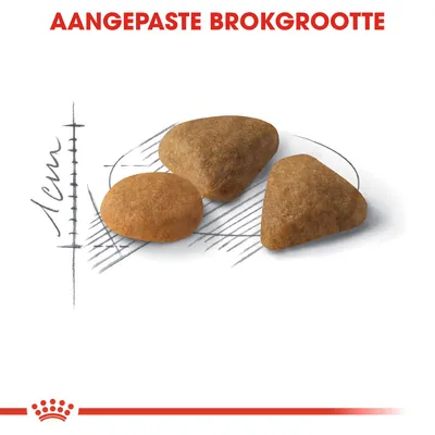 AANGEPASTE BROKGROOTTE, drie brokken met verschillende vormen en een maatindicatie van 1 cm zichtbaar naast de brokken.