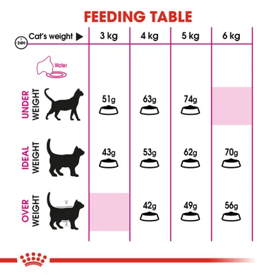Feeding table showing daily food amounts in grams for underweight, ideal weight, and overweight cats at 3kg, 4kg, 5kg, and 6kg. Water is also recommended.