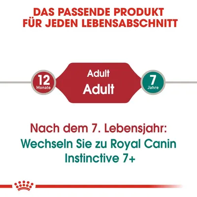 Das passende Produkt für jeden Lebensabschnitt. Nach dem 7. Lebensjahr: Wechseln Sie zu Royal Canin Instinctive 7+.