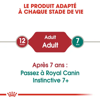 Texte : Le produit adapté à chaque stade de vie. Adult 12 mois–7 ans. Après 7 ans : Passez à Royal Canin Instinctive 7+. Texte en anglais et français visible.