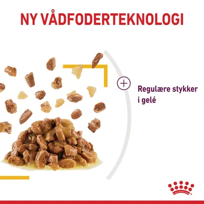 NY VÅDFODERTEKNOLOGI. Regulære stykker i gelé. Billede af vådfoderstykker og gelé samlet i en bunke. Nederst ses Royal Canin-navnetræk med krone.