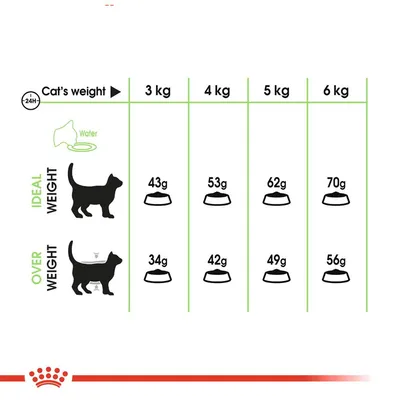 Fodringsvejledning for kat: ved idealvægt 3–6 kg gives 43–70 g dagligt, ved overvægt 34–56 g. Viser skema med vægt og fodermængde i gram.