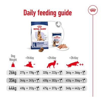 Daily feeding guide showing recommended food amounts by dog weight and activity: for 26kg, 35kg, and 44kg with different gram values and can combinations for less than 1, 2, or over 3 hours activity.