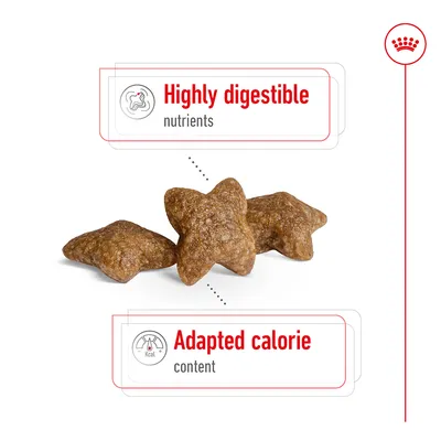 Kibble pieces with highlighted features: highly digestible nutrients and adapted calorie content.