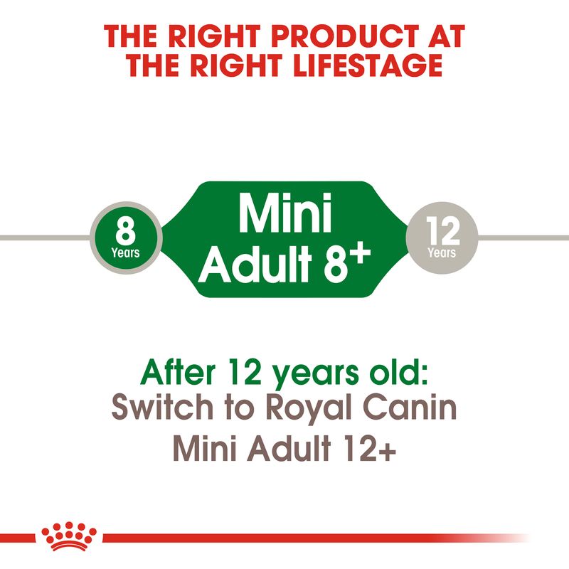 Текст: Mini Adult 8+ для собак от 8 до 12 лет. После 12 лет: переходите на Royal Canin Mini Adult 12+. Текст на английском языке.