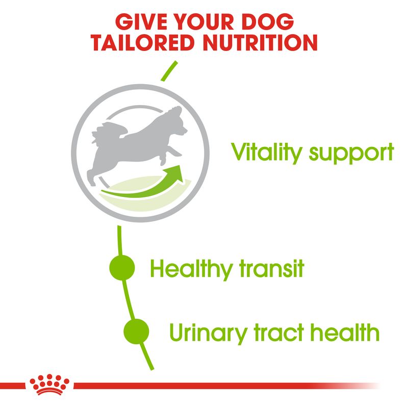 Royal Canin X-Small Mature 8 +