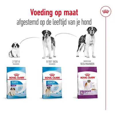Royal Canin voeding op maat: Puppy Giant 2–8 maanden, Junior Giant 8–18/24 maanden, XL Giant Adult ouder dan 18/24 maanden. Afgestemd op de leeftijd van je hond.