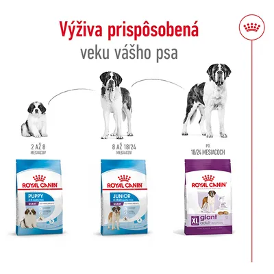 Royal Canin krmivo pre psov podľa veku: Puppy 2–8 mesiacov, Junior 8–18/24 mesiacov, XL Giant Adult po 18/24 mesiacoch. Text: Výživa prispôsobená veku vášho psa.