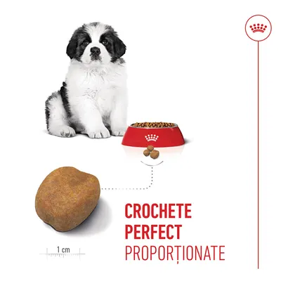 Imaginea unui cățel lângă un bol cu hrană uscată, dedesubt o crocheta mărită cu o scară de 1 cm și textul: CROCHETE PERFECT PROPORȚIONATE. Imaginea unui cățel lângă un bol cu hrană uscată, dedesubt o crocheta mărită cu o scară de 1 cm și textul: CROCHETE PERFECT PROPORȚIONATE.